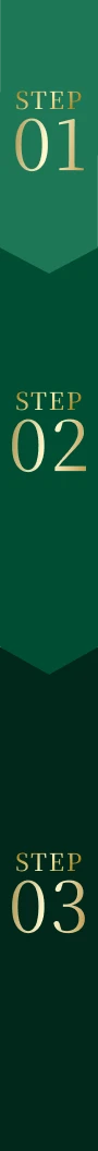 STEP01 STEP02 STEP03